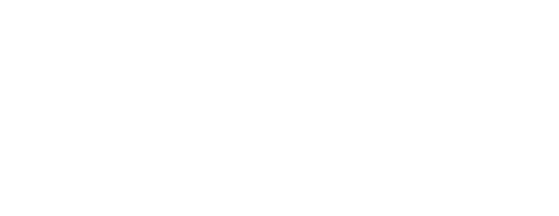 Aurum Vision